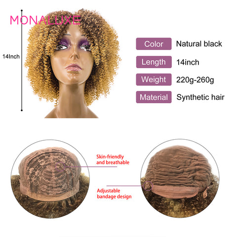 Image of MONALUXE 4x4 Lace Clousre Wig Kinky Curly Human Hair Wigs