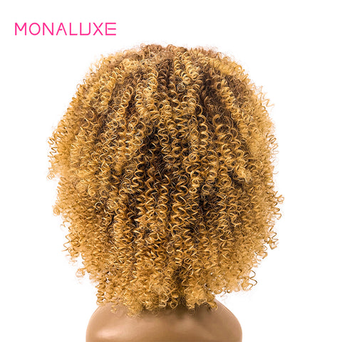 Image of MONALUXE 4x4 Lace Clousre Wig Kinky Curly Human Hair Wigs