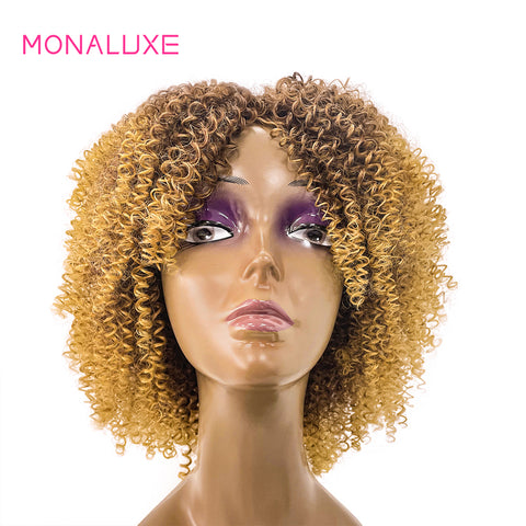 Image of MONALUXE 4x4 Lace Clousre Wig Kinky Curly Human Hair Wigs